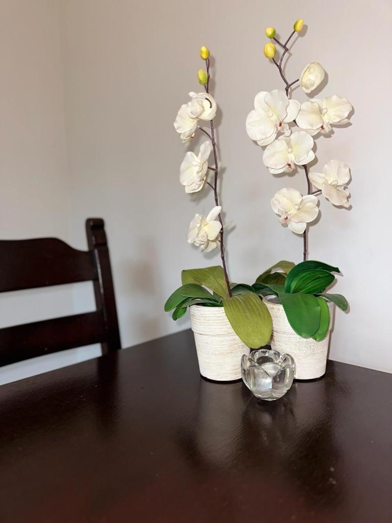 Apartament Przy Rynku Poznań Extérieur photo